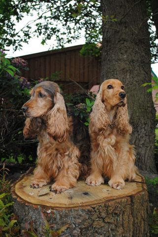 Jelle und Debbie